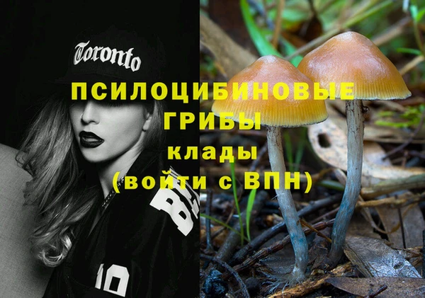 дживик Армянск