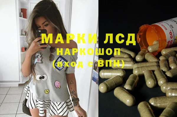 эйфоретик Баксан