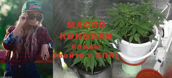 метадон Богданович