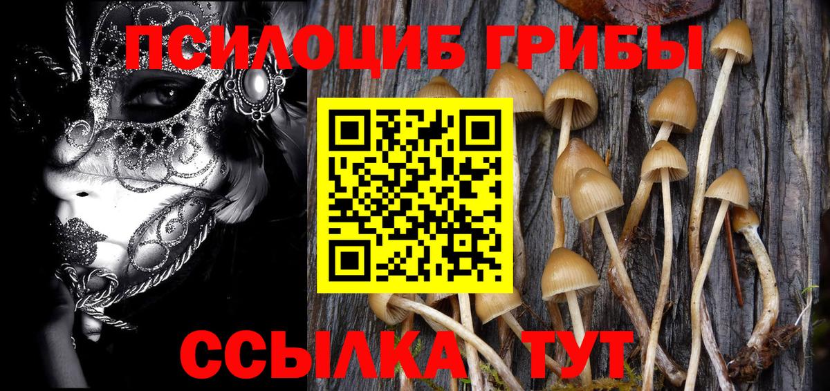 Псилоцибиновые грибы GOLDEN TEACHER  Галлюциногенные грибы Psilocybine cubensis  Похвистнево  Вход с VPN 